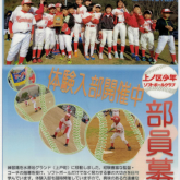 ソフトボール募集