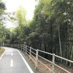 【長崎市をジョギング】野母崎サイクリングロード