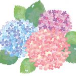 2020.6月の休診のお知らせ.