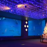 水族館のハッピークリスマス